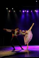 Homenaje al Da Provincial de la Danza