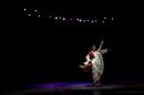 Homenaje al Da Provincial de la Danza