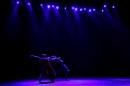 Homenaje al Da Provincial de la Danza