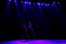 Homenaje al Da Provincial de la Danza