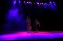 Homenaje al Da Provincial de la Danza