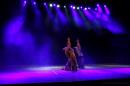Homenaje al Da Provincial de la Danza