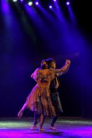 Homenaje al Da Provincial de la Danza