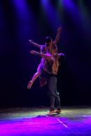 Homenaje al Da Provincial de la Danza