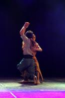 Homenaje al Da Provincial de la Danza