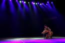 Homenaje al Da Provincial de la Danza