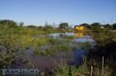 Recorrida de ESCHACO por zonas costeras al Ro Paran