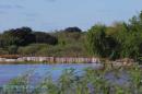 Recorrida de ESCHACO por zonas costeras al Ro Paran