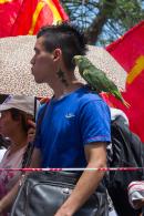 Marcha Multisectorial El Chaco dice basta!